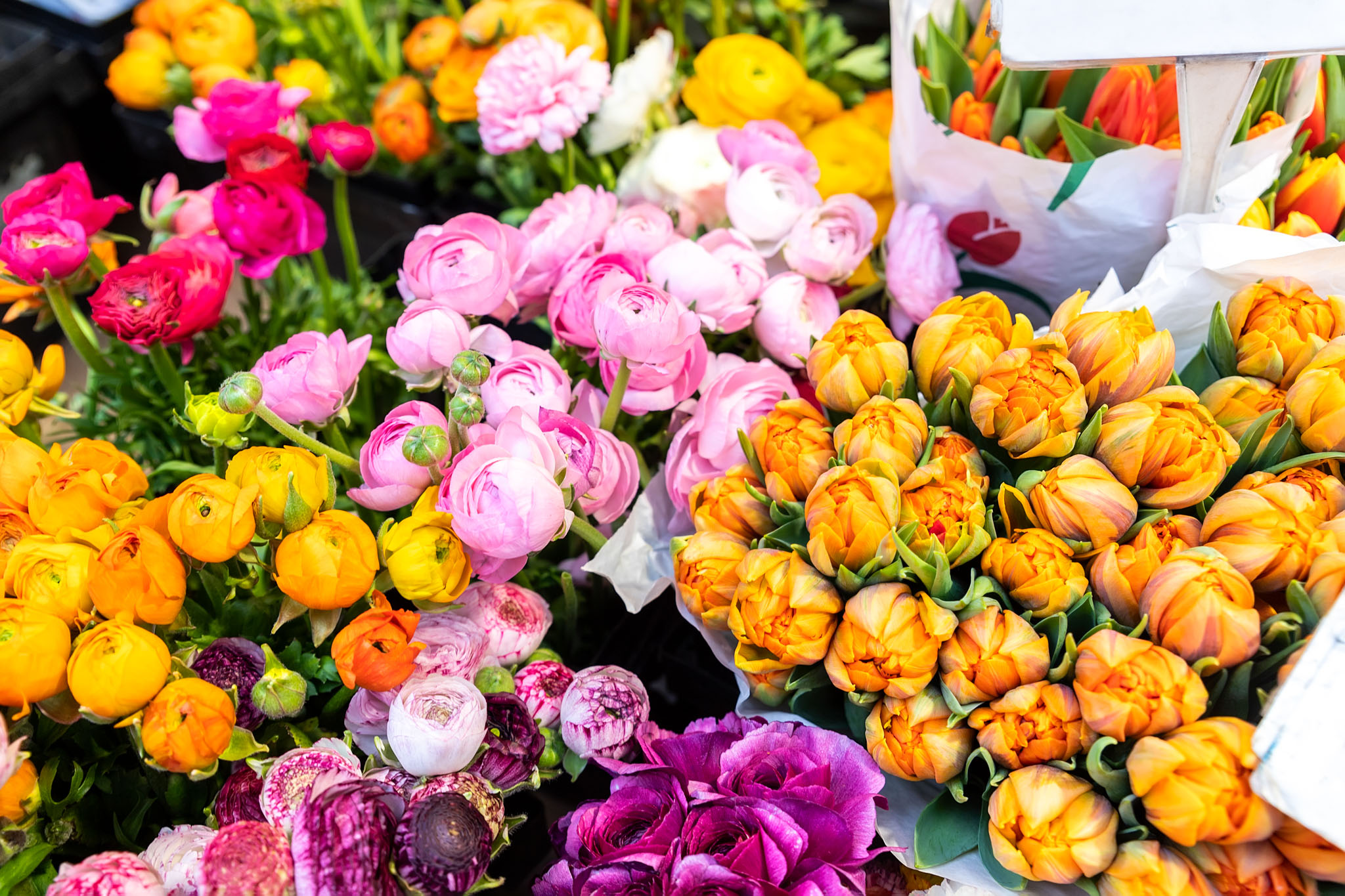 Many multicolored fresh peonies bouquets background. Dutch flower market stall or store. Wholesale warehouse and retail flower shop. Florist design service